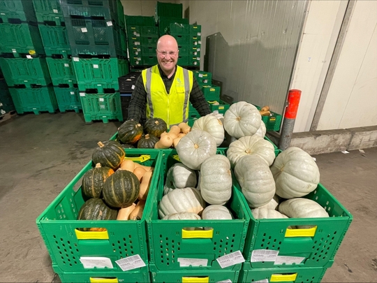 Oh my gourd! Pumpkins make smashing come back as prices drop 57%