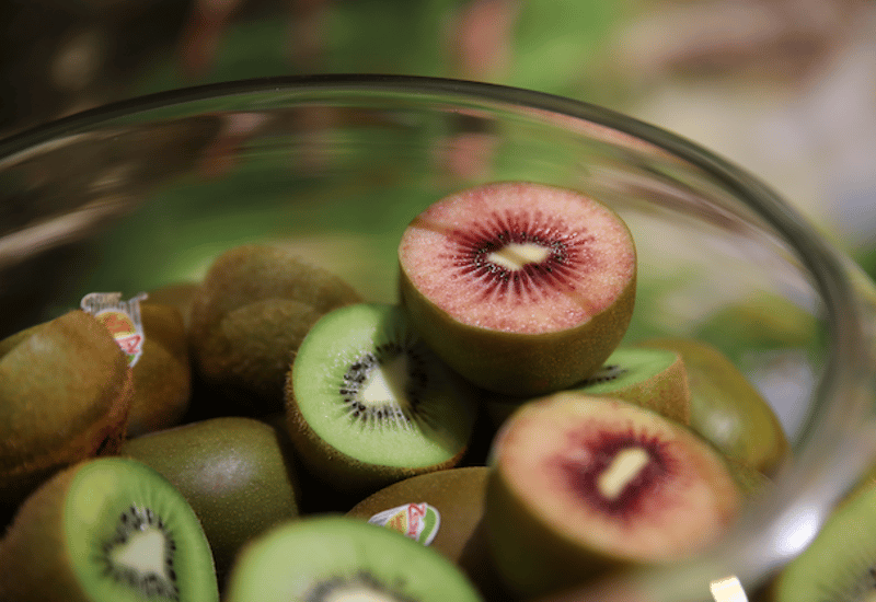 Kiwifruit 2 column component_01