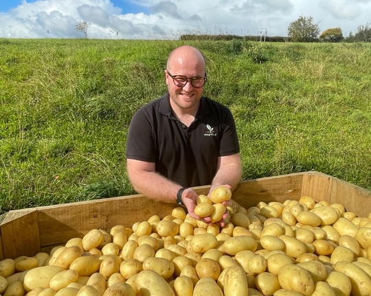 Hot potato: Spuds touted as ‘pick of the crop’ as prices fall 16.2%