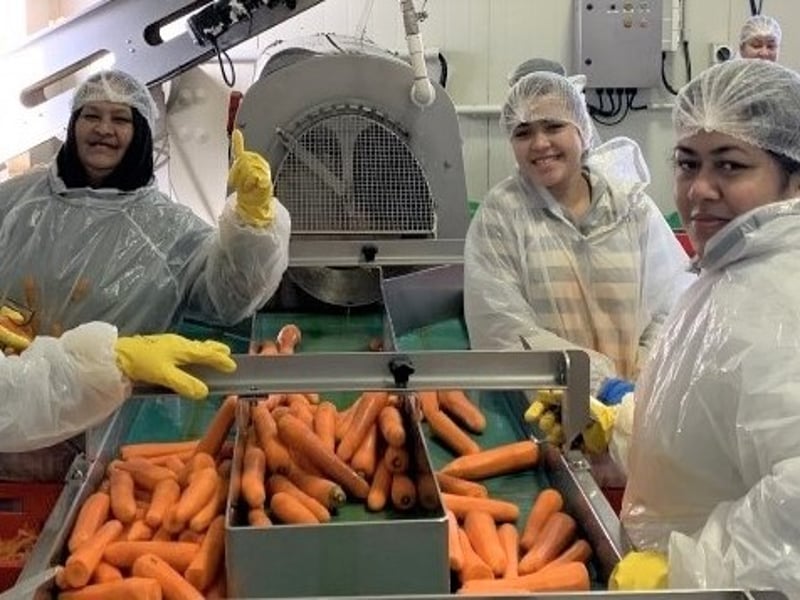 Fresh connection 2 column component