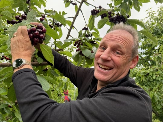 The people and partnerships delivering Central Otago Summerfruit to our stores