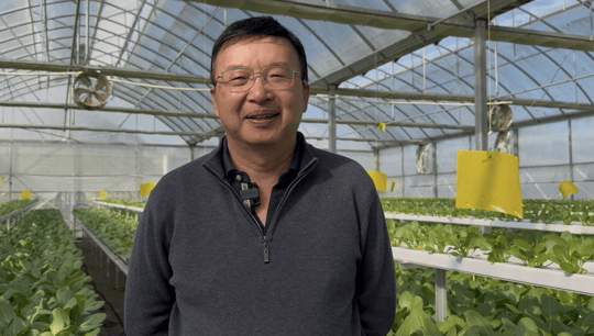 From five crates to thousands: Foodstuffs backs Asian produce business to grow into nationwide supplier
