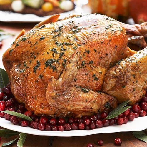 cranberry-turkey