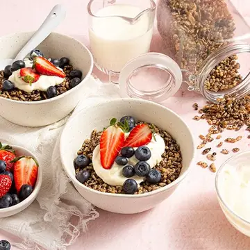 HomemadeCocoaSnapCereal-500x500