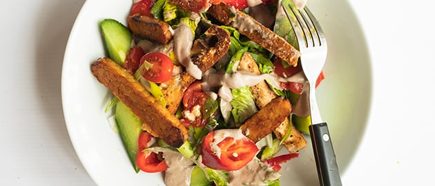 oct290002tempehcaesarpanzanella