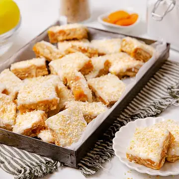 apricot_slice_500x500_v2