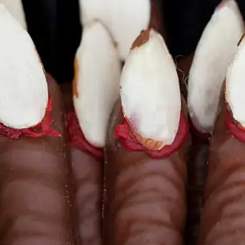 halloween16recipeimagesfingers