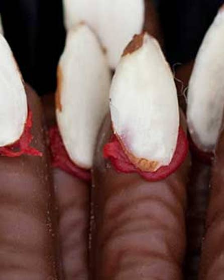 Witch chocolate fingers