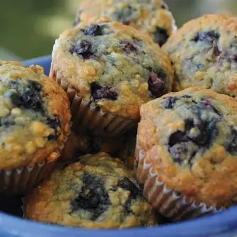 blueberrymuffins