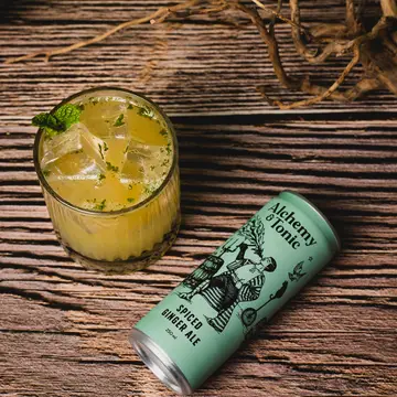 Alchemy Tonic Pineapple Mojito