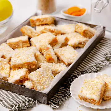 apricot_slice_500x500_v2