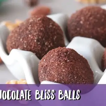 fs103690btsdigitalassetsnuttychocolateblissballs