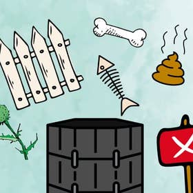 CompostExtraImages-No