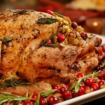 cranberry-pistachio-stuffed-turkey