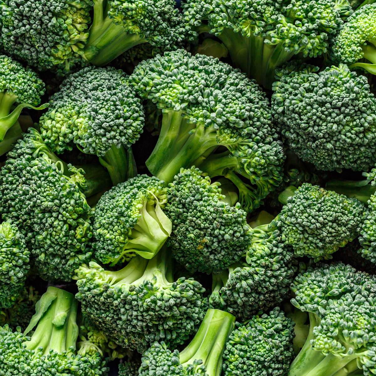 FS25461 - PNSNZ_Download & Resize - 1200x1200px_Broccoli.jpg
