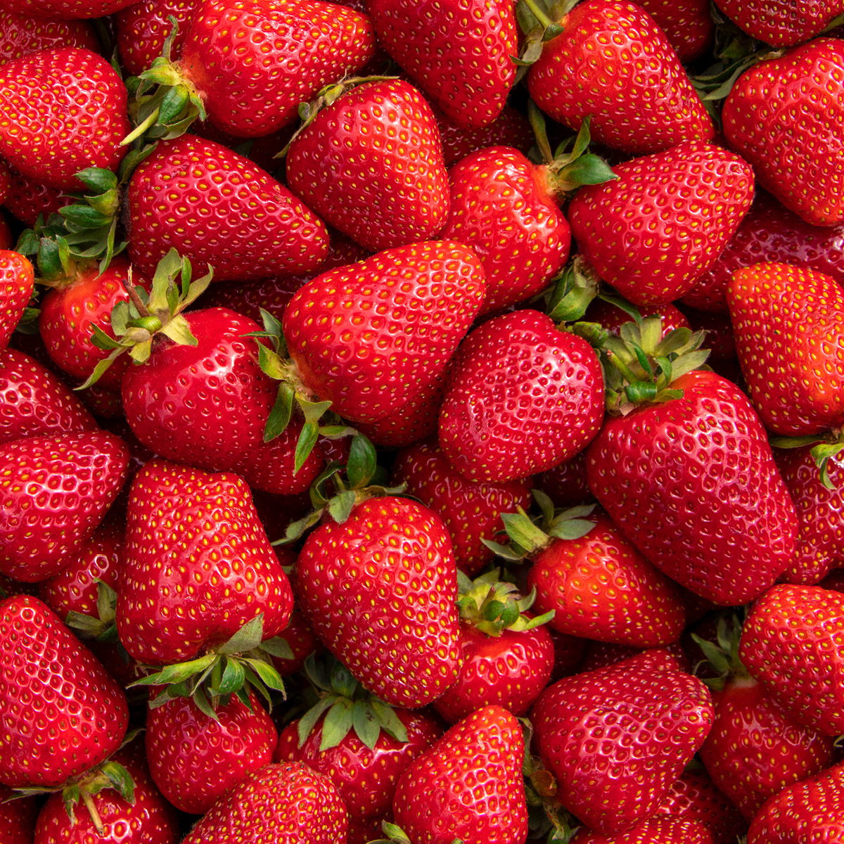 FS27958 - PNSNZ - Image Downloads 1200x1200 - 2