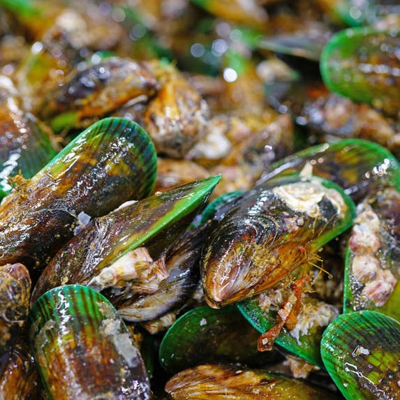 FS27958 - PNSNZ - Image Downloads 1200x1200 - 1