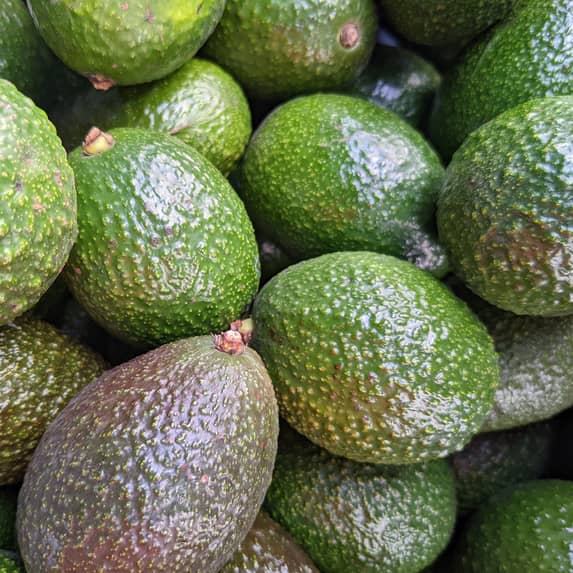 FS26002 - PNSNZ_Download & Resize Images 1200px x 1200px Avocado_1.jpg