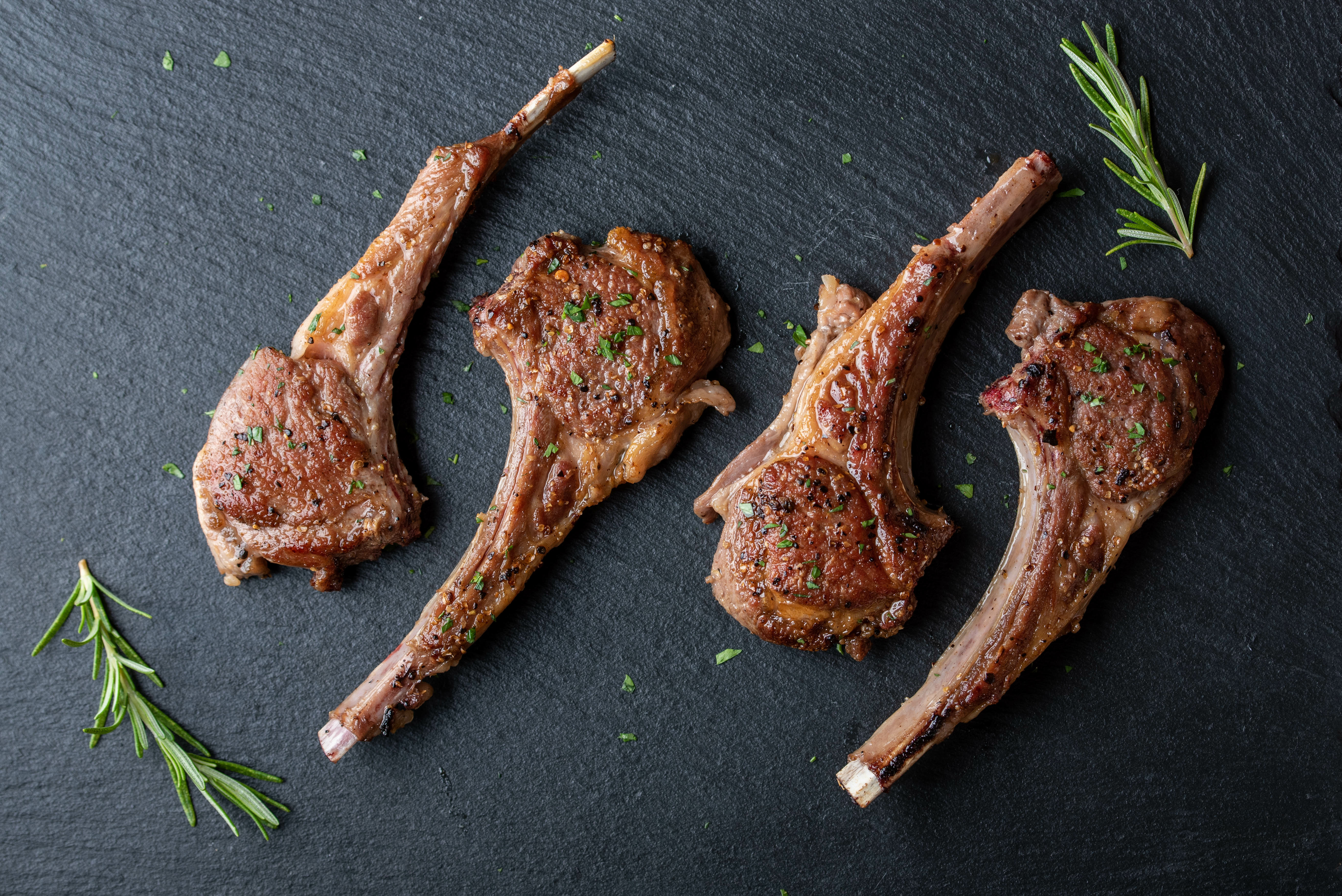 AdobeStock_289358013