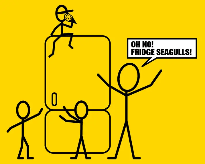 PnS NZ - Fridge Seagull Promo Card 800x640px.jpg