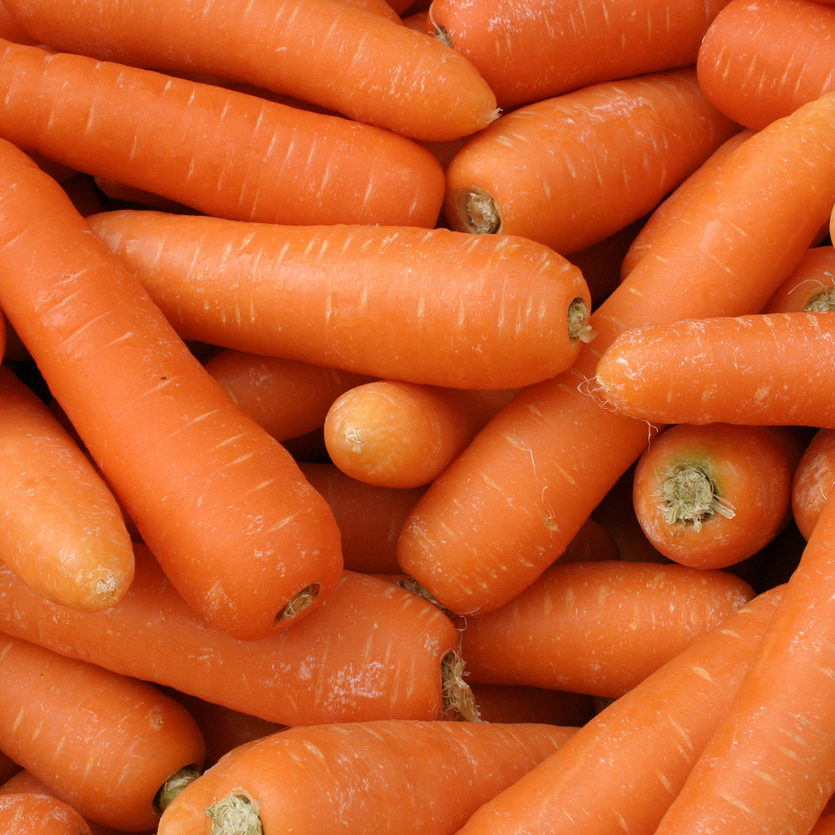 FS25461 - PNSNZ_Download & Resize - 1200x1200px_Carrots.jpg