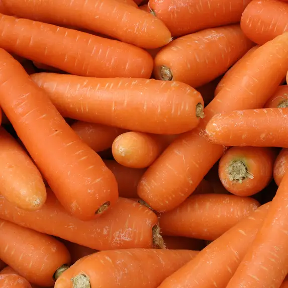 FS25461 - PNSNZ_Download & Resize - 1200x1200px_Carrots.jpg