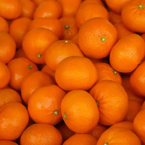 Satsuma_Mandarins_1200x1200