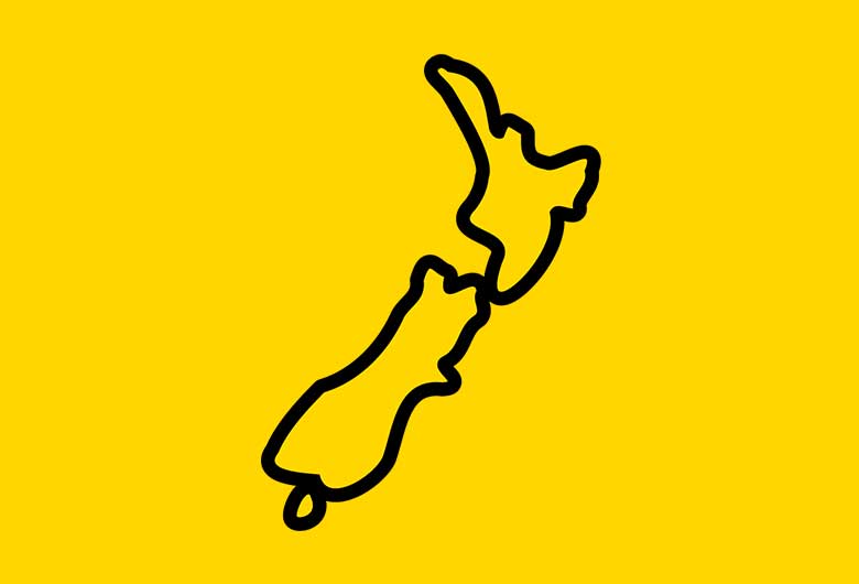 FS143379---PNSNZ_ESG-icons_2024_Country