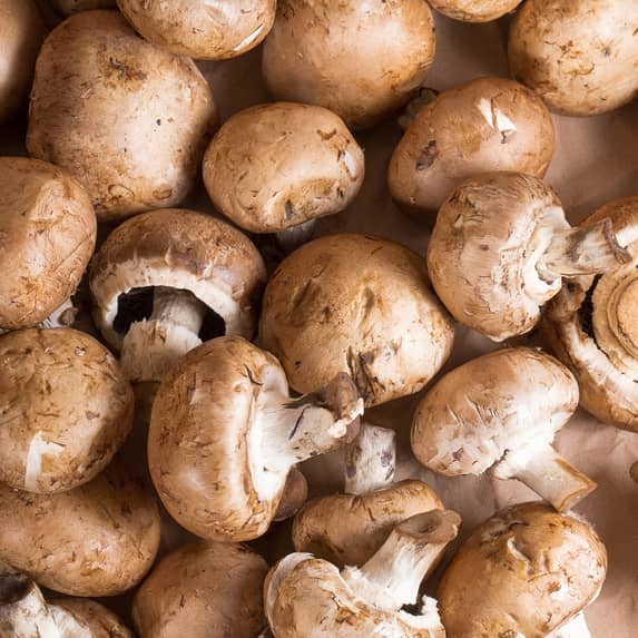 FS26002 - PNSNZ_Download & Resize Images 1200px x 1200px Mushroom.jpg