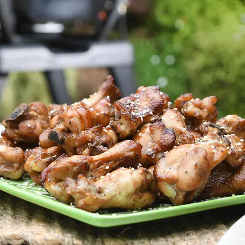 FS136478 - PNSNZ_Resized_Images_Christmas_Recipes23