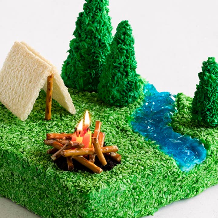 into_the_wild_cake