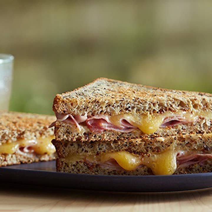 cheesy_ham_mustard_apple_sauce_toastie