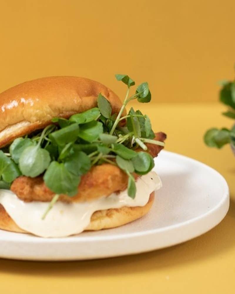 FishBurgerJPEG - 1920 x 633