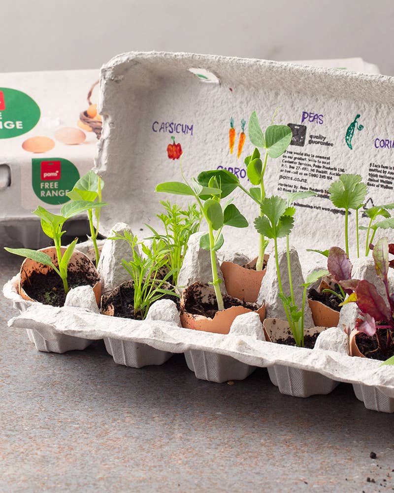 Kids-Egg-Carton-Planters-resized