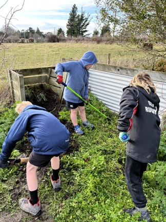 View Hill school gets a veggie boost with $3,000 donation